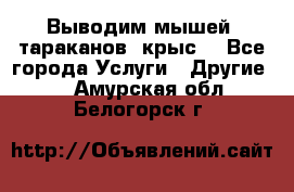 Выводим мышей ,тараканов, крыс. - Все города Услуги » Другие   . Амурская обл.,Белогорск г.